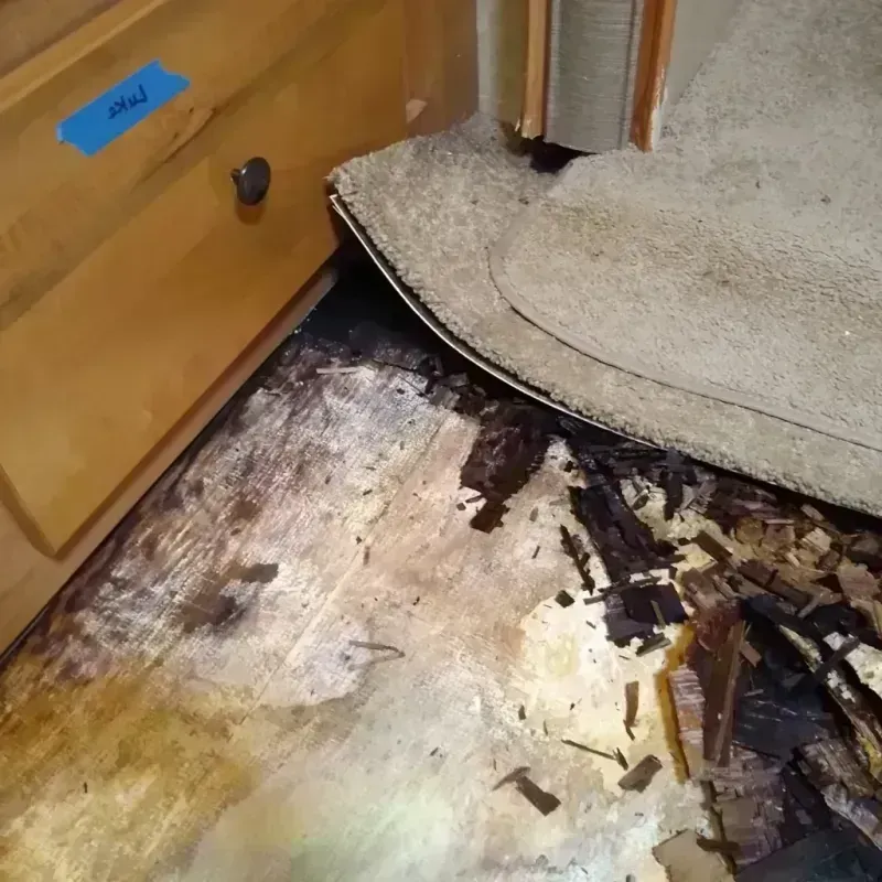 Wood Floor Water Damage in Hondo, TX